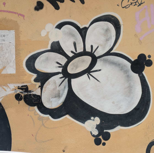 black and white flowet blossom in graffiti style on yellow brownish wall sourounded by tags