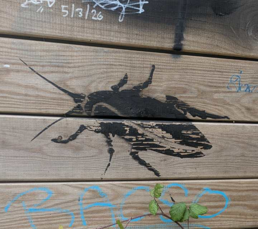 cockroach spray painted with black color and the help of a stencil, on wood, surrounded by tags