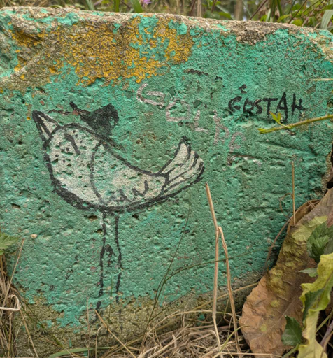 small white bird with long legs and a black hat, drawn on green painted stone surrounded by weeds. "ERSTAH" is written next to the bird, seemingly by the artist
