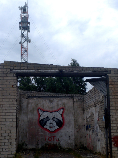 dilapidated brick garage with b/w graffiti of washbear with red halo