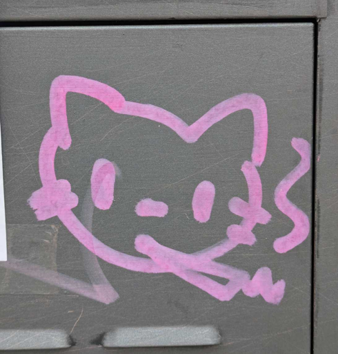 doodle of a cat face that smokes a cigarette or joint. drawn with pink marker on vrey metallic surface